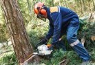 West Perthtree-cutting-services-21.jpg; ?>